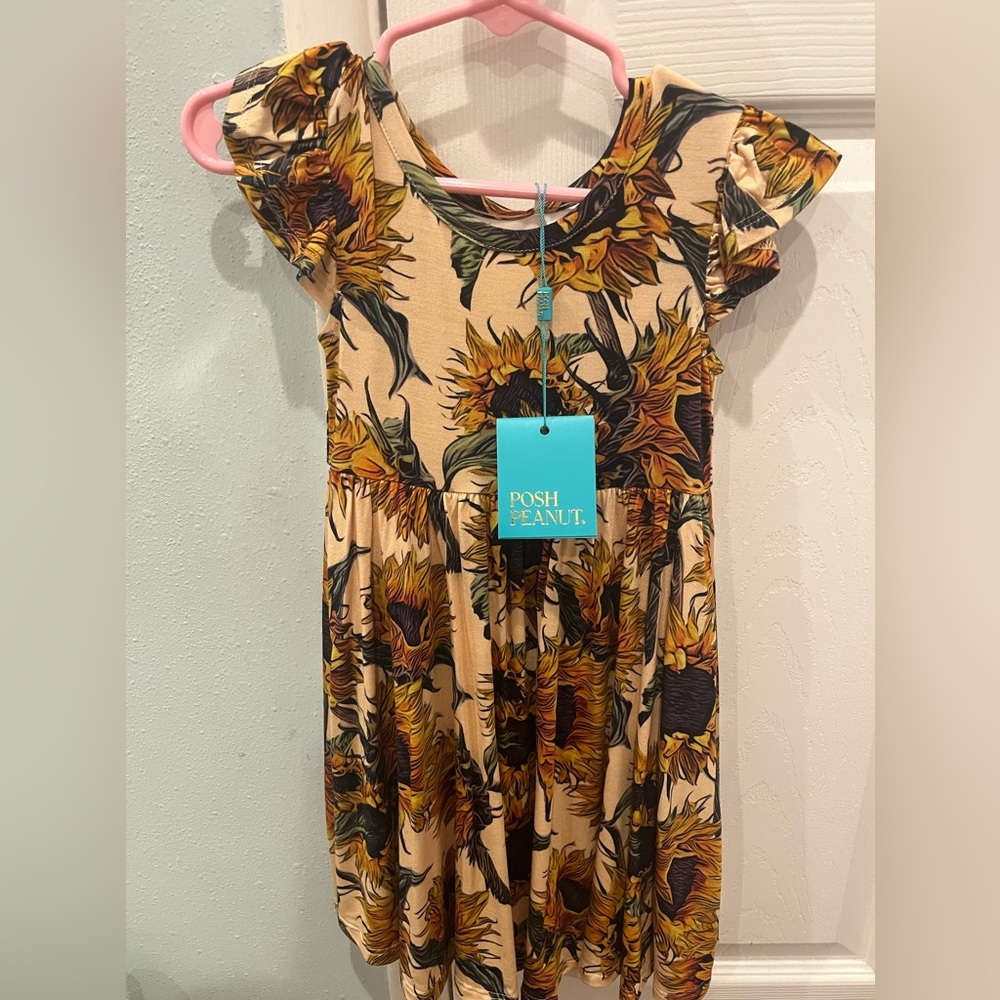 Posh Peanut Arev Twirl dress 2t
